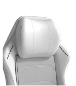 خرید صندلی گیمینگ دی ایکس ریسر Dxracer Master Series 2025 XL White - تصویر 11
